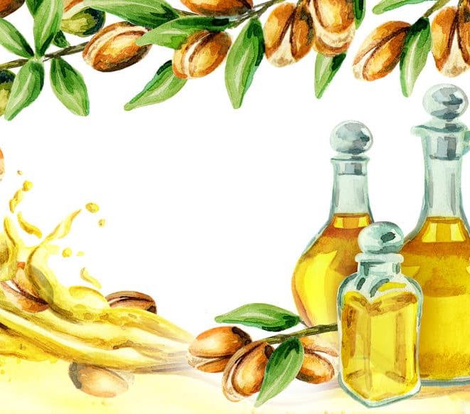مجموعة من الزيوت الطبيعية المفيدة للبشرة